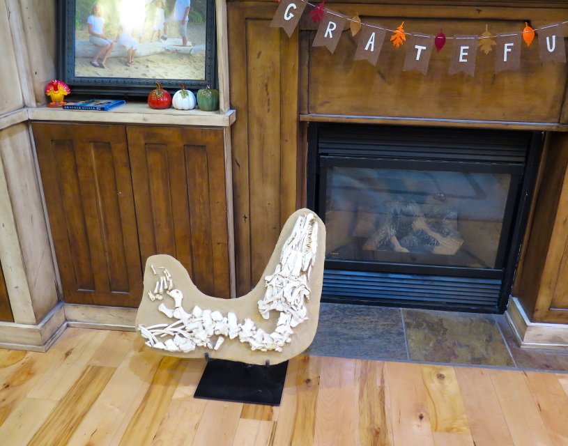 dinosaur skeletons for sale