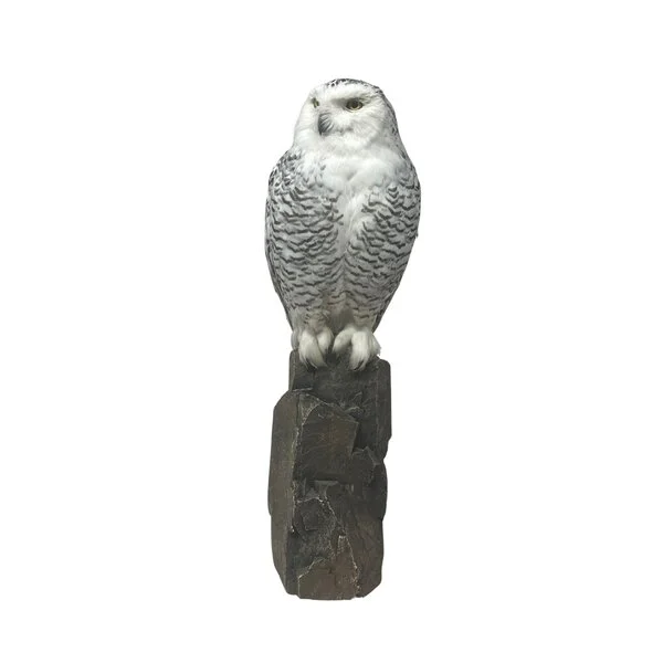 snowy owl taxidermy for sale