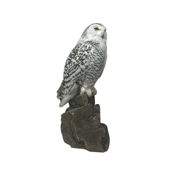 snowy owl taxidermy for sale