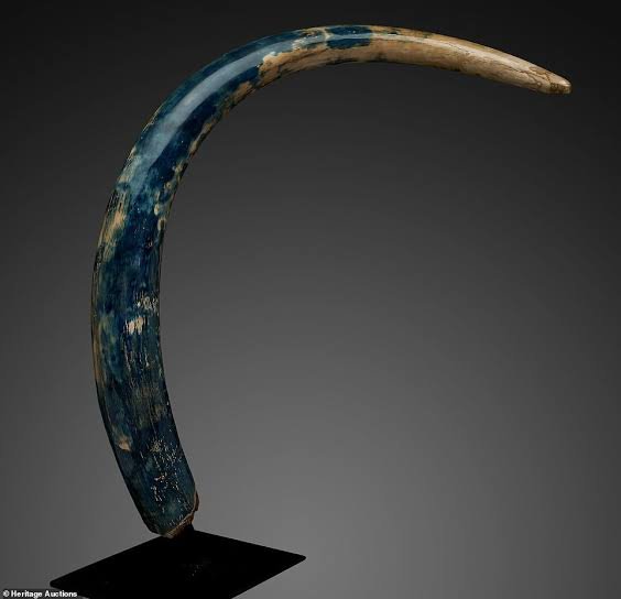 blue patina mammoth tusk