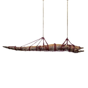 crocodile taxidermy