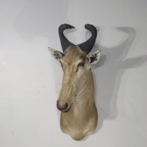 hartebeest mount