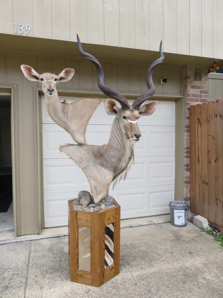 kudu mount
