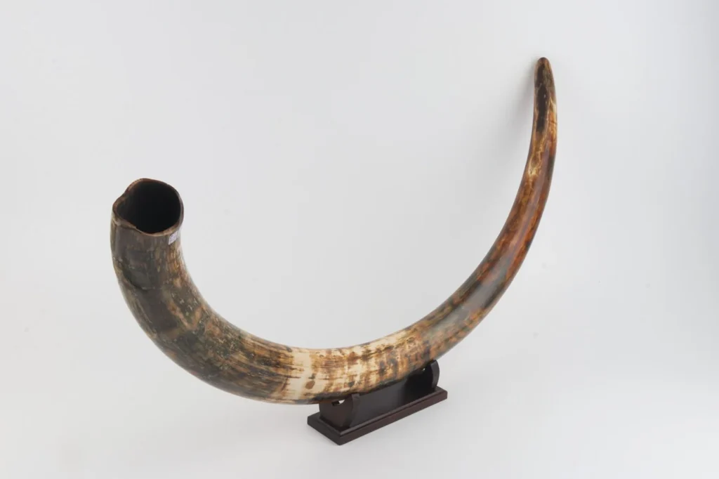mammoth ivory
