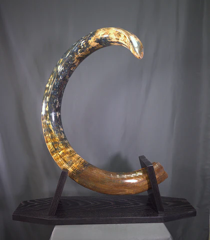 mammoth tusk for sale