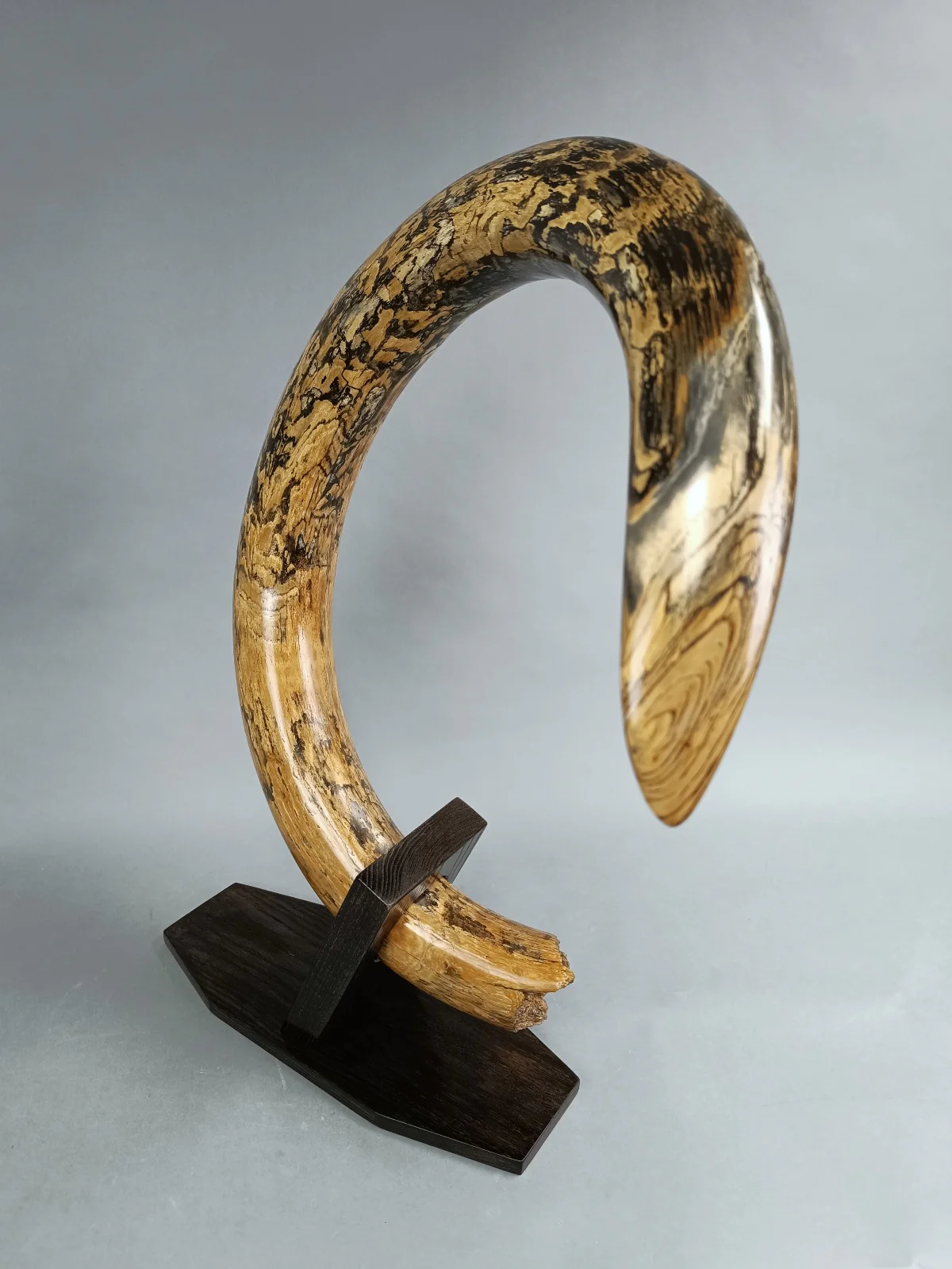 mammoth tusk for sale