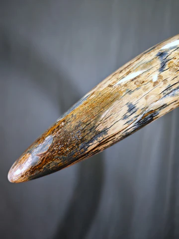 mammoth tusk for sale