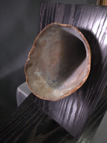 mammoth tusk for sale