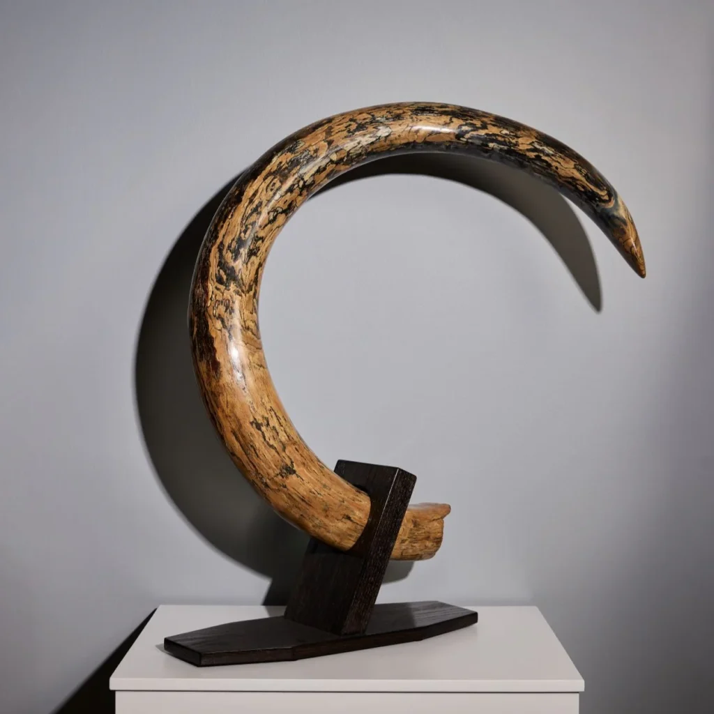 mammoth tusk for sale