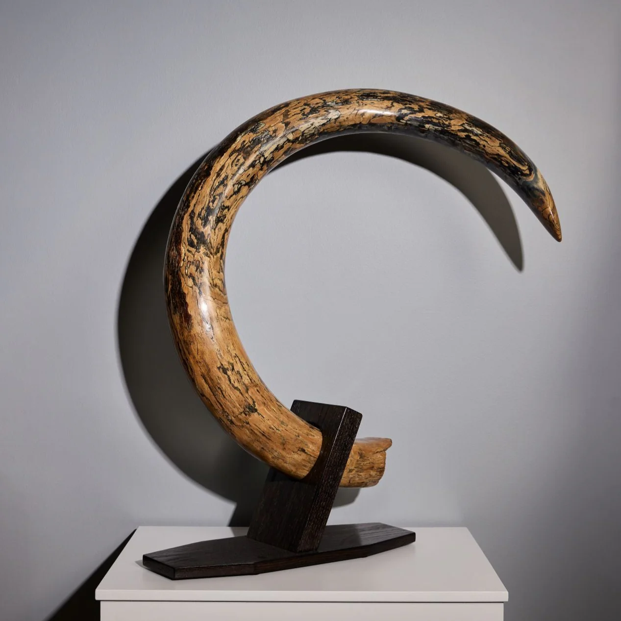 mammoth tusk for sale