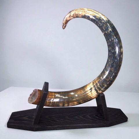 mammoth tusk for sale