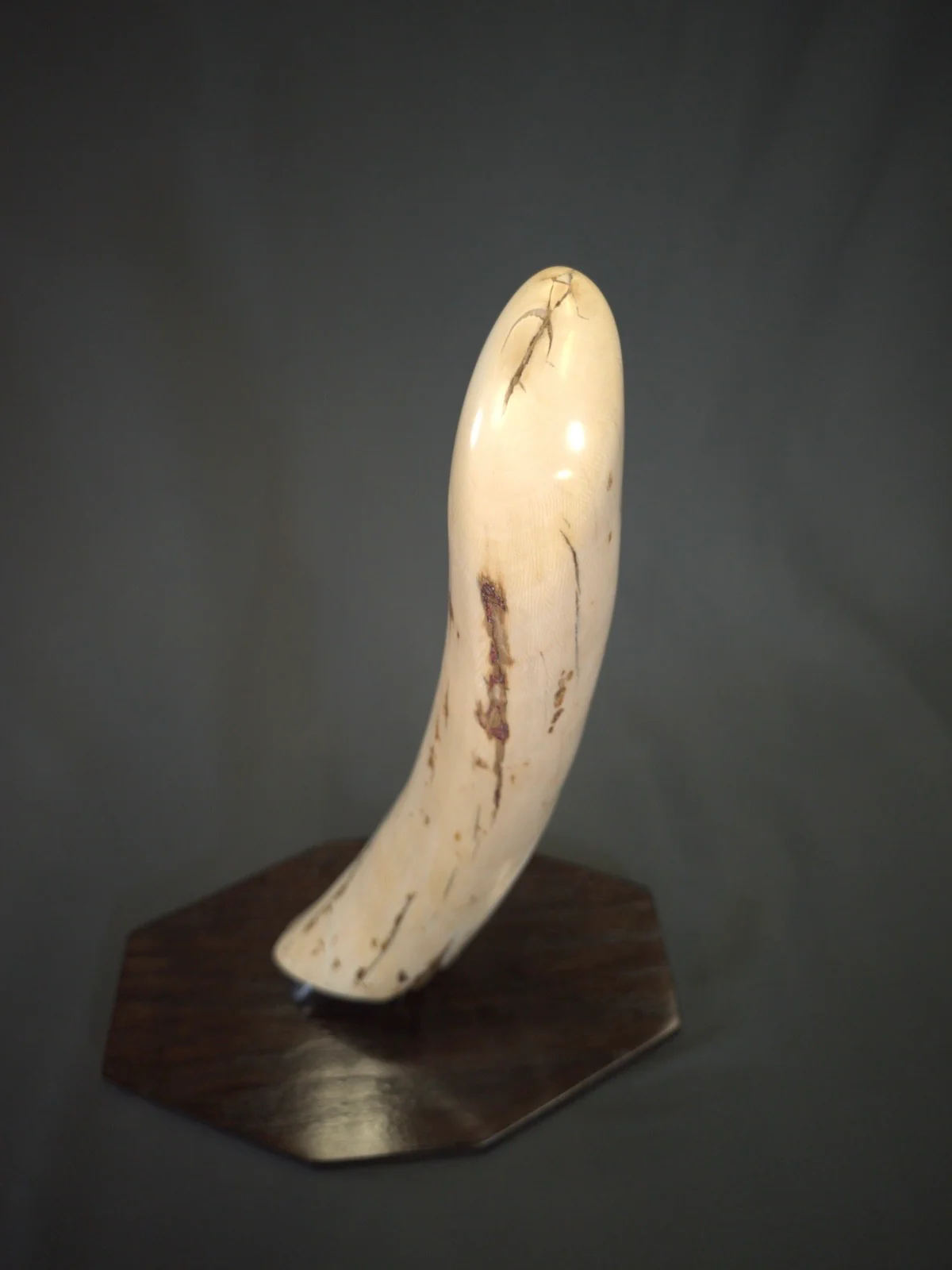mammoth tusk fragment