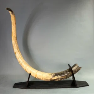 mammoth tusks