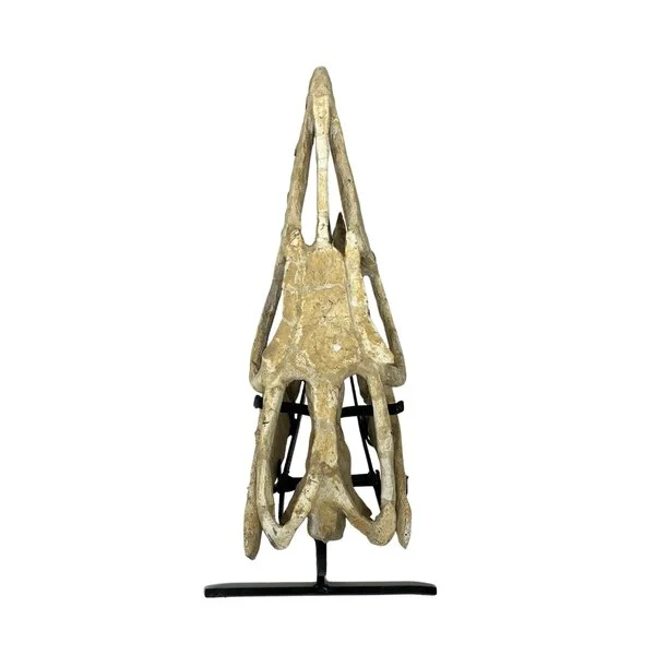 mosasaurus skull for sale