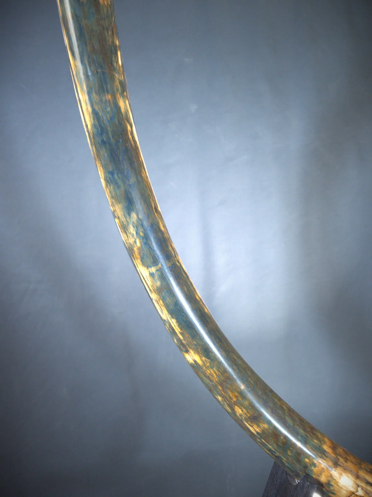 Real Woolly Mammoth Tusk for Sale