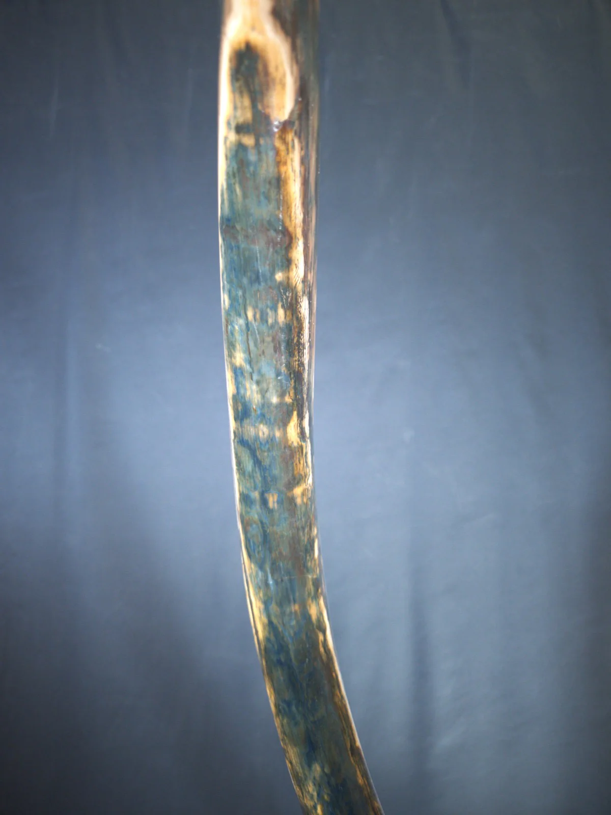 Woolly Mammoth Tusk (Mammuthus primigenius, 8' 2") - Image 8
