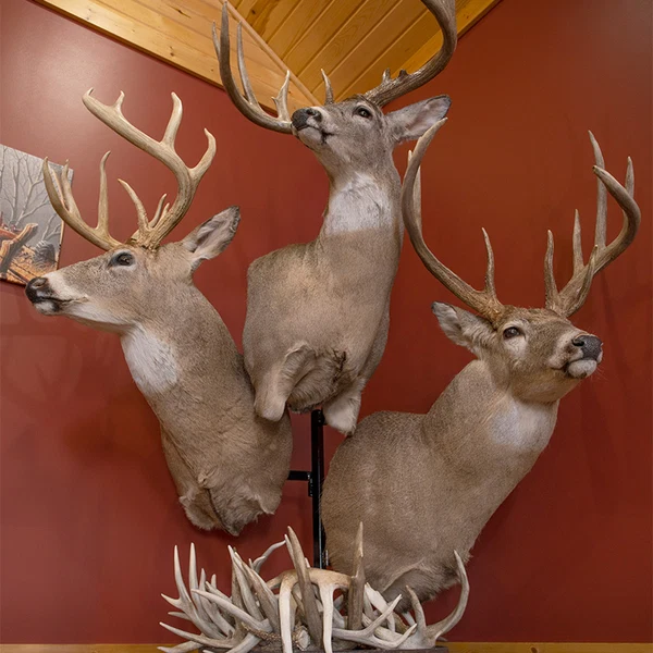 PEDESTAL MOUNTS