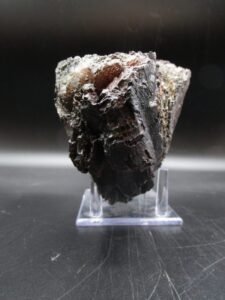 Woolly Mammoth Tooth Fossil #14