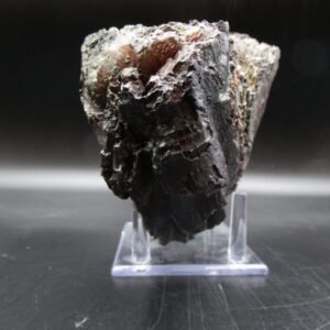Woolly Mammoth Tooth Fossil #14