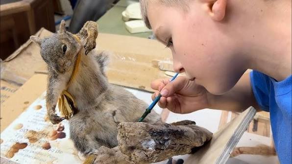 is taxidermy ethical